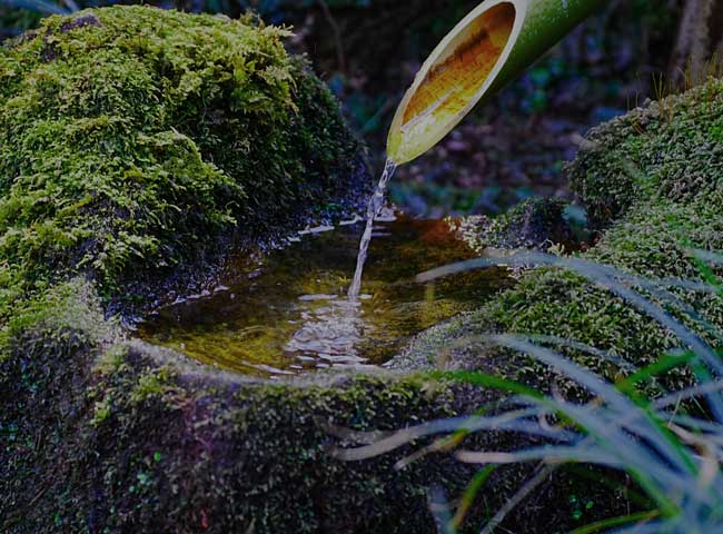 庭造りの自然素材苔・石